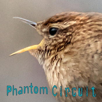 Phantom Circuit 355