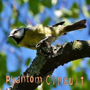 Phantom Circuit 362