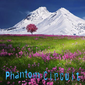 Phantom Circuit 379