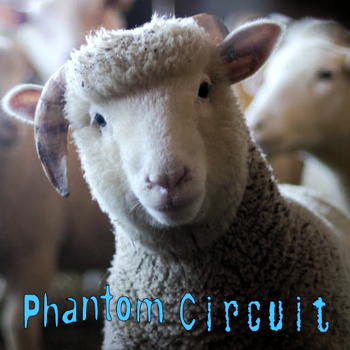 Phantom Circuit 381