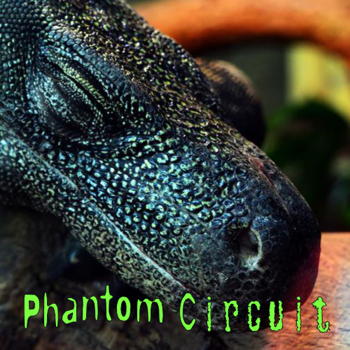 Phantom Circuit 407