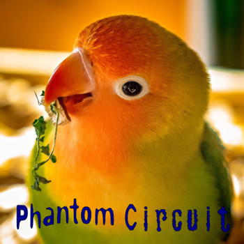 Phantom Circuit 413